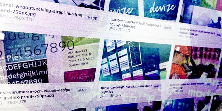 Mediebibliotek med rader av bilder